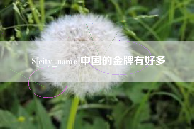 四川中国的金牌有好多