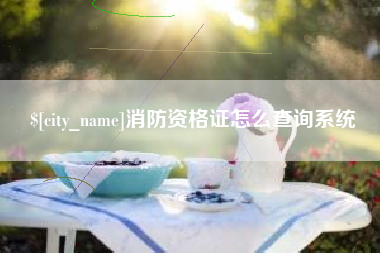 四川消防资格证怎么查询系统