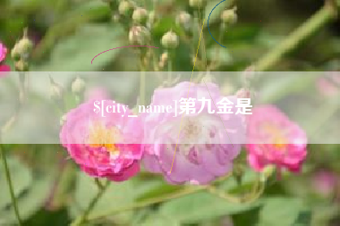 四川第九金是