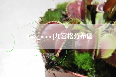 四川九宫格分布图