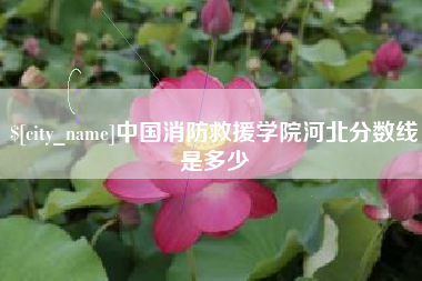 四川中国消防救援学院河北分数线是多少