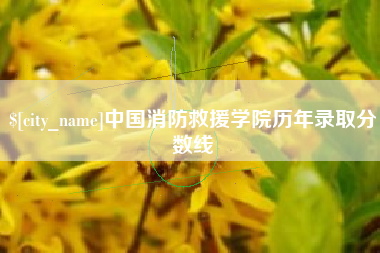 四川中国消防救援学院历年录取分数线