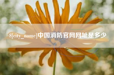 四川中国消防官网网址是多少