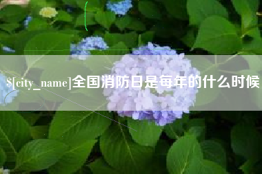 四川全国消防日是每年的什么时候