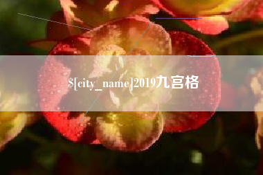 四川2019九宫格