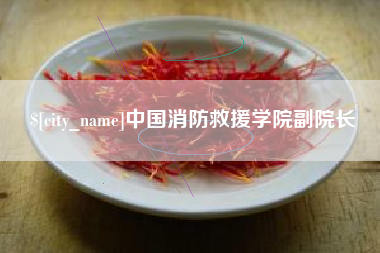 四川中国消防救援学院副院长