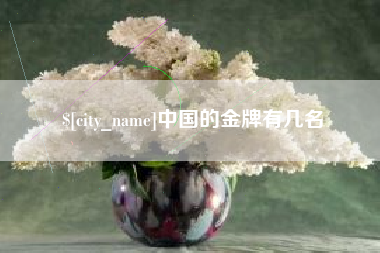 四川中国的金牌有几名