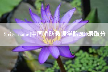 四川中国消防救援学院2020录取分