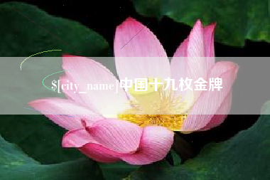 四川中国十九枚金牌
