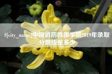四川中国消防救援学院2019年录取分数线是多少