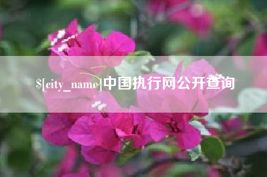 四川中国执行网公开查询