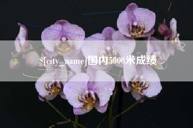四川国内5000米成绩