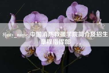 四川中国消防救援学院简介及招生章程指挥部