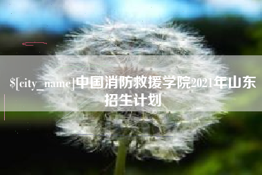 四川中国消防救援学院2021年山东招生计划