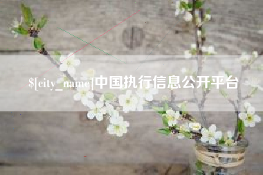 四川中国执行信息公开平台