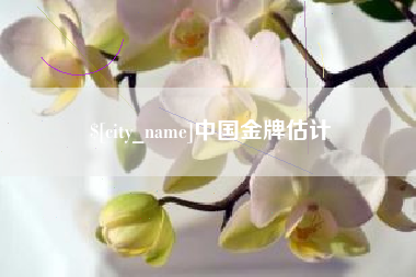 四川中国金牌估计