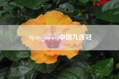 四川中国九连冠