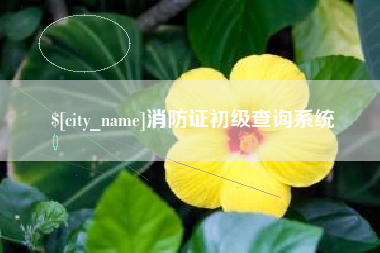 四川消防证初级查询系统