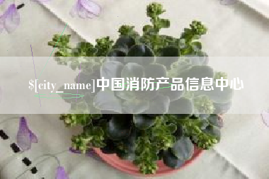 四川中国消防产品信息中心