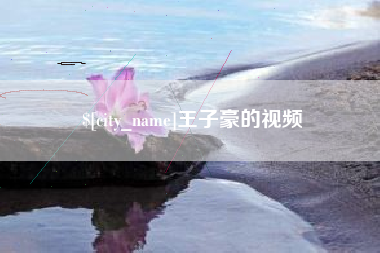 四川王子豪的视频