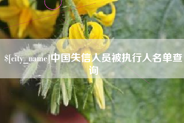四川中国失信人员被执行人名单查询