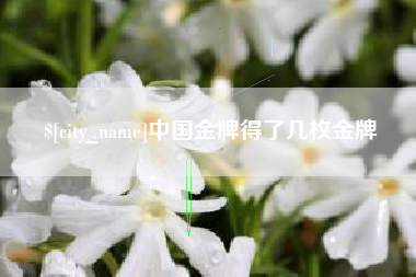 四川中国金牌得了几枚金牌