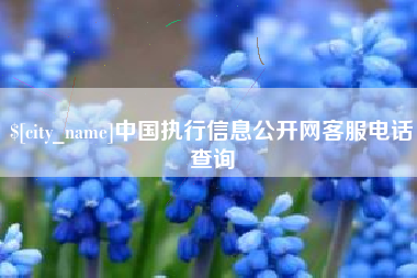 四川中国执行信息公开网客服电话查询