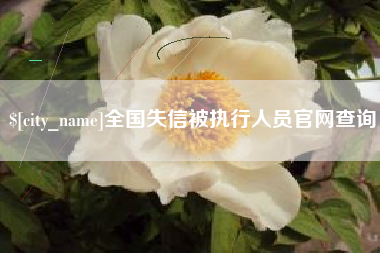 四川全国失信被执行人员官网查询