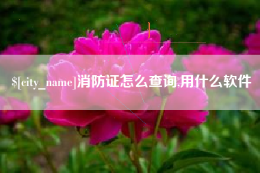 四川消防证怎么查询,用什么软件