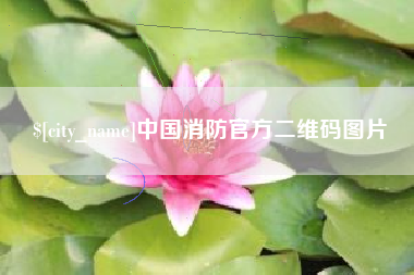四川中国消防官方二维码图片