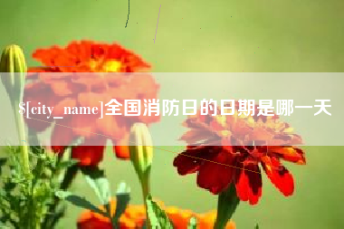 四川全国消防日的日期是哪一天