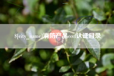 四川消防产品cccf认证目录