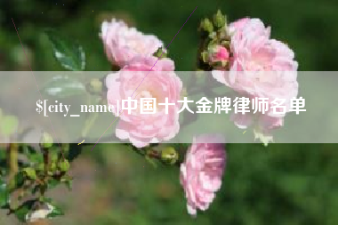 四川中国十大金牌律师名单