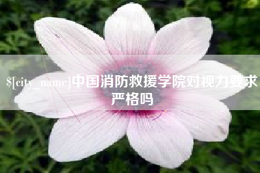四川中国消防救援学院对视力要求严格吗