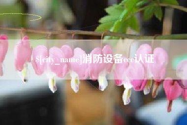 四川消防设备ccc认证