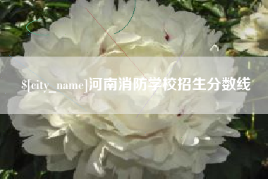四川河南消防学校招生分数线