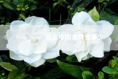 四川现在中国金牌是多少