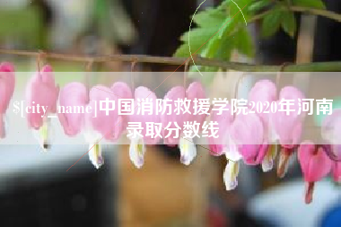 四川中国消防救援学院2020年河南录取分数线