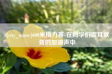 四川600米接力赛-在同学们震耳欲聋的加油声中