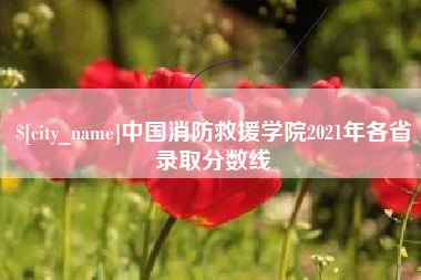 四川中国消防救援学院2021年各省录取分数线