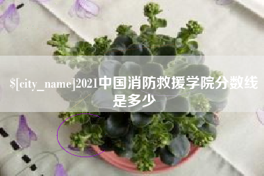 四川2021中国消防救援学院分数线是多少