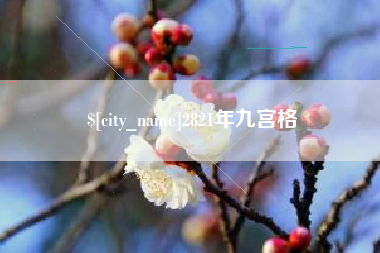 四川2821年九宫格