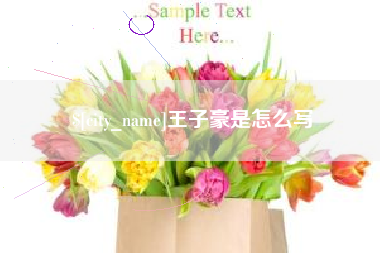 四川王子豪是怎么写