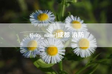 四川成都 消防