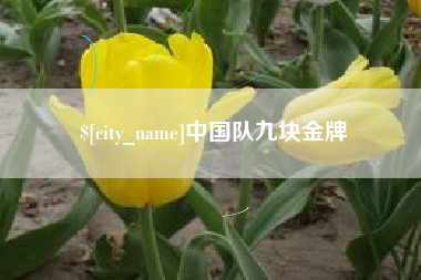 四川中国队九块金牌