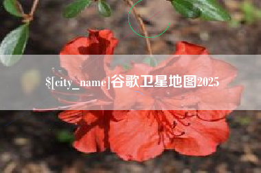 四川谷歌卫星地图2025