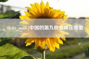 四川中国的第九枚金牌在哪里