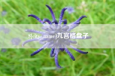 四川九宫格盘子