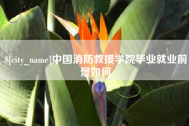 四川中国消防救援学院毕业就业前景如何