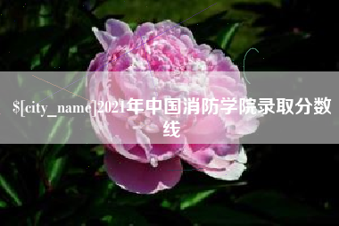 四川2021年中国消防学院录取分数线